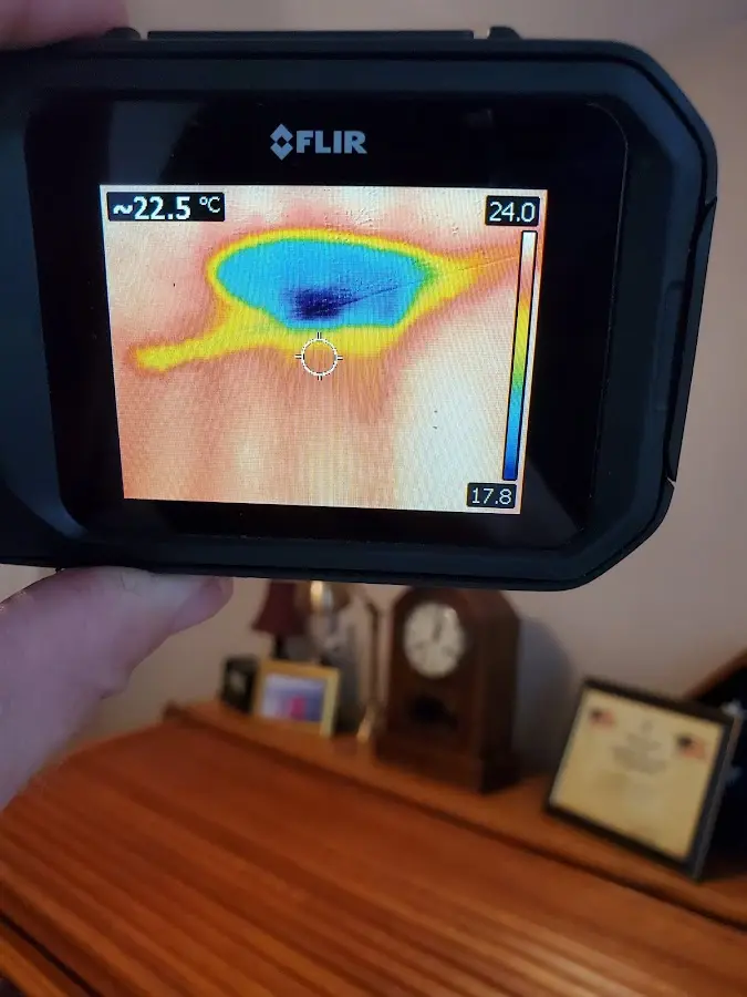 Thermal imaging inspection for water damage in Swansea